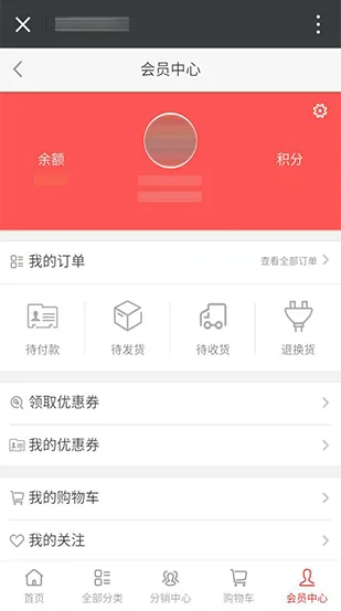 专业指导，成就卓越 - 旺财28